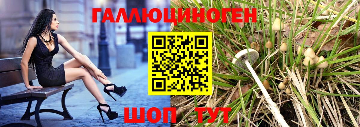 Губкин  купить  цена  Псилоцибиновые грибы MAGIC MUSHROOMS  Вход с VPN  Псилоцибиновые грибы GOLDEN TEACHER 