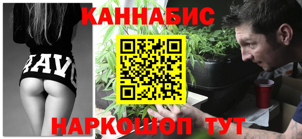 Бошки марихуана THC 21% Губкин